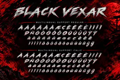Black Vexar Product Image 9