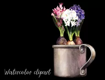 Spring flowers clipart. Hyacinth PNG Product Image 4