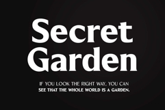 Blackney Font Family Product Image 2
