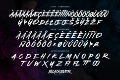 Blacksver - Brush Font Product Image 11
