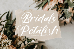 Blakely Quincy - Bold Handbrush Script Product Image 4