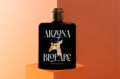 Blamore - Modern Serif Font Product Image 3