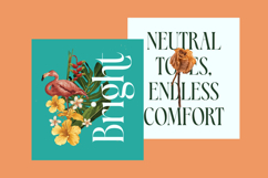 Blamore - Modern Serif Font Product Image 6