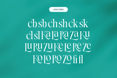 Blamore - Modern Serif Font Product Image 17
