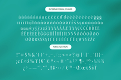 Blamore - Modern Serif Font Product Image 19
