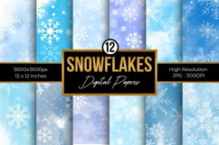 Winter Snowflakes Digital Paper Set Product Image 1