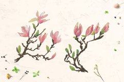 Magnolia Clipart Product Image 2