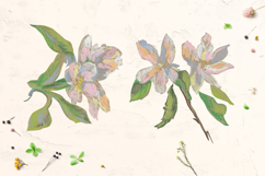 Sakura Clipart Product Image 2