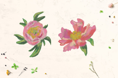 Peonies Clipart Product Image 2
