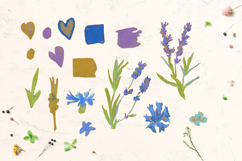 Crayon Wildflowers &amp; Grasses Clipart Lavender Chamomile Product Image 2