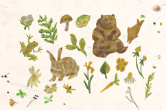Crayon Wildlife Clipart Set Woodland Animals Birds &amp; Insects Product Image 2