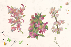 Sakura Clipart Product Image 3
