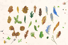 Crayon Nature Elements Clipart Set Feathers Nuts Pine Cones Product Image 2