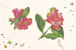 Camellia flowers Clip Art Product Image 2