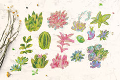 Kids Crayon Succulent Clipart Cute Cactus Plants Childlike Product Image 3