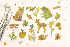 Crayon Wildlife Clipart Set Woodland Animals Birds &amp; Insects Product Image 3