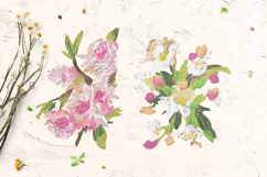 Sakura Clipart Product Image 4