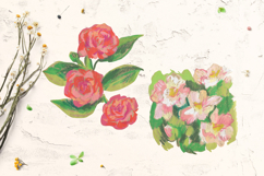 Camellia flowers Clip Art Product Image 3