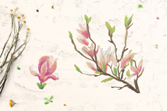 Magnolia Clipart Product Image 3