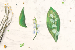 Lily of the valley Clipart Product Image 3