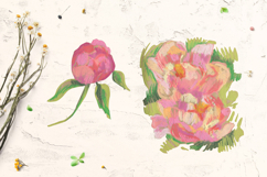 Peonies Clipart Product Image 3