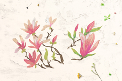 Magnolia Clipart Product Image 4