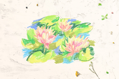 Water lily lotus flower Clip Art Product Image 4