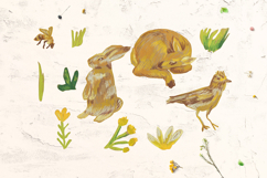 Crayon Wildlife Clipart Set Woodland Animals Birds &amp; Insects Product Image 4