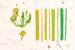 Cute Crayon Dandelion Flower Childlike Drawing Clipart Bundle Product Image 4