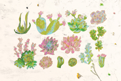 Kids Crayon Succulent Clipart Cute Cactus Plants Childlike Product Image 4