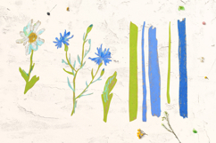 Crayon Wildflowers &amp; Grasses Clipart Lavender Chamomile Product Image 4