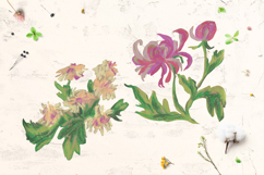 Chrysanthemum Clipart Product Image 5