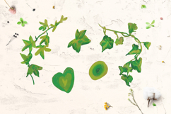 Crayon Ivy &amp; Grape Vine Clipart Kids Style Hand Drawn Leaves Product Image 4