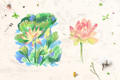 Water lily lotus flower Clip Art Product Image 5