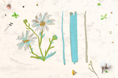 Crayon Wildflowers &amp; Grasses Clipart Lavender Chamomile Product Image 5