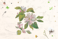 Sakura Clipart Product Image 6