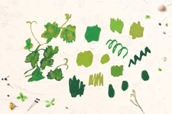 Crayon Ivy &amp; Grape Vine Clipart Kids Style Hand Drawn Leaves Product Image 5