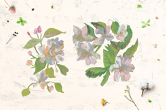 Sakura Clipart Product Image 7
