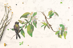 Sakura Clipart Product Image 8