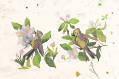 Sakura Clipart Product Image 9