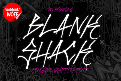 Blank Shack | Monoline Graffiti Webfont Product Image 1