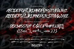 Blashter - Brush Font Product Image 11