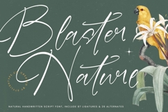 Blaster Nature - Natural Handwritten Script Font Product Image 1