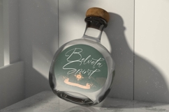 Blaster Nature - Natural Handwritten Script Font Product Image 4