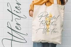 Blaster Nature - Natural Handwritten Script Font Product Image 10