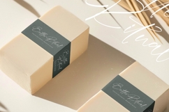 Blaster Nature - Natural Handwritten Script Font Product Image 12