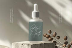 Blaster Nature - Natural Handwritten Script Font Product Image 15