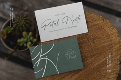 Blaster Nature - Natural Handwritten Script Font Product Image 16