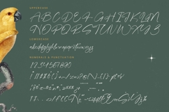 Blaster Nature - Natural Handwritten Script Font Product Image 18