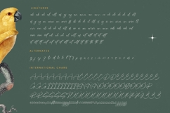 Blaster Nature - Natural Handwritten Script Font Product Image 19